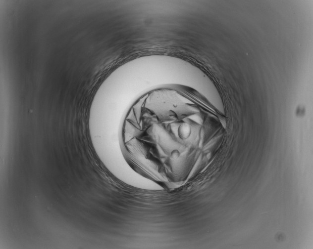 X0000098230720200805151341