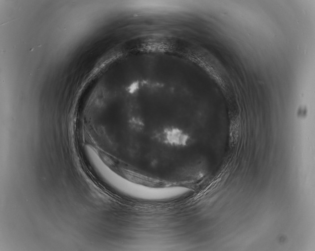 X0000098230722200805151340