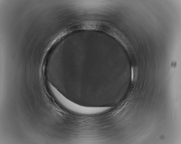 X0000098230723200805151340