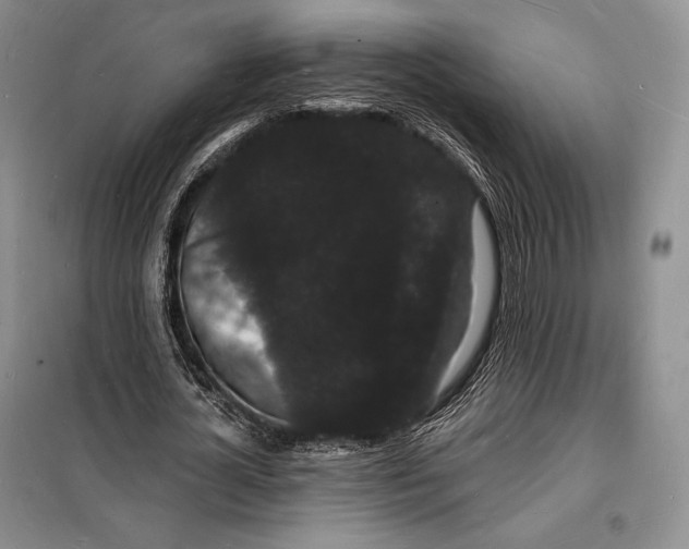 X0000098230724200805151340