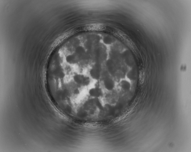 X0000098230725200805151340