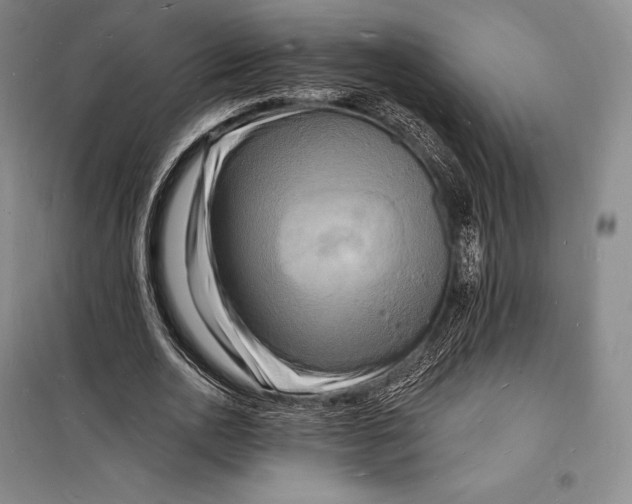 X0000098230726200805151340