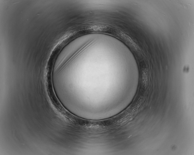 X0000098230730200805151340