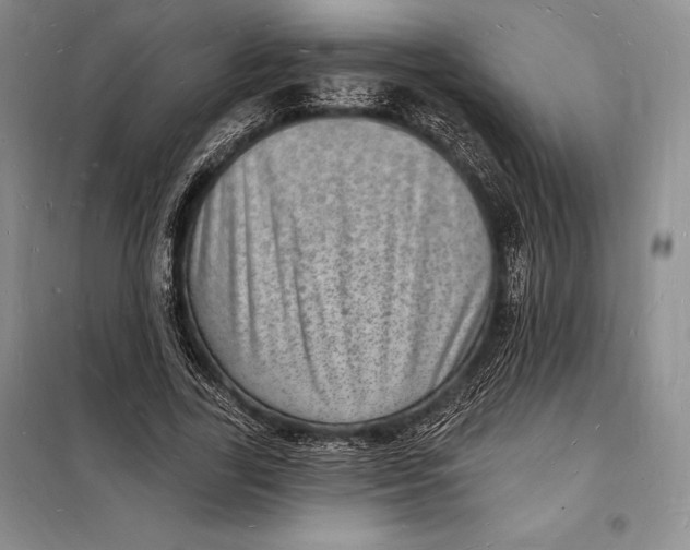 X0000098230731200805151340