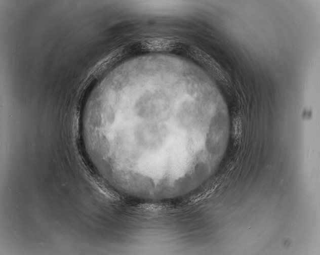 X0000098230733200805151340