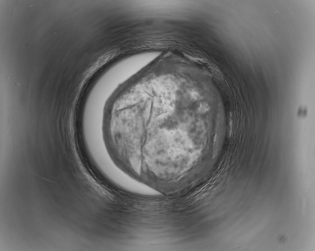 X0000098230734200805151340