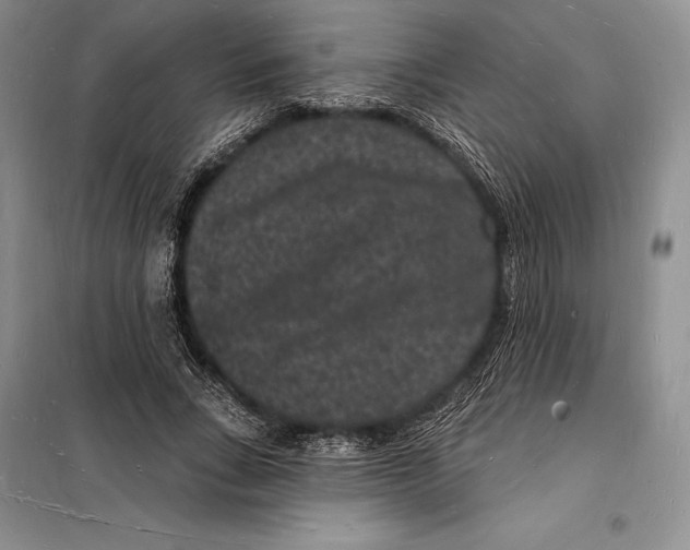 X0000098230735200805151340