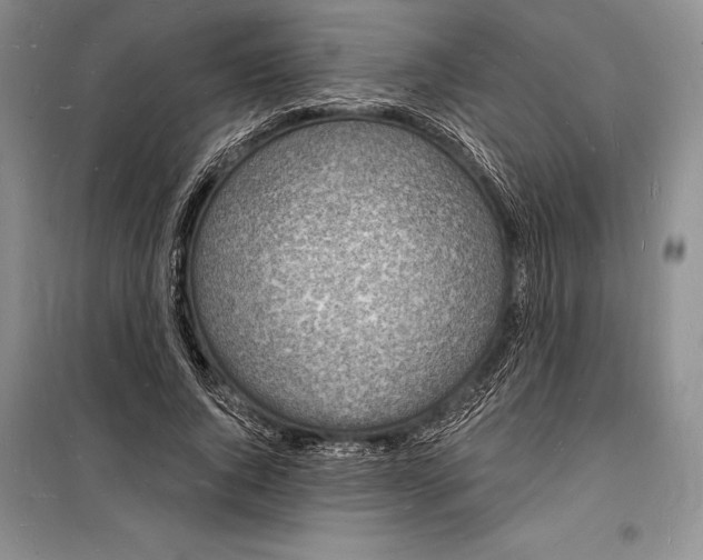 X0000098230736200805151341