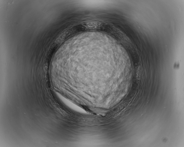 X0000098230737200805151341