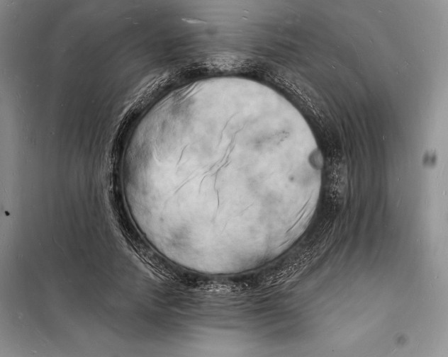 X0000098230738200805151341