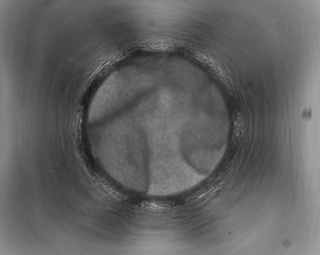 X0000098230739200805151341