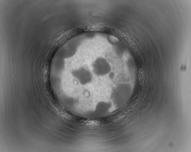 X0000098230741200805151341