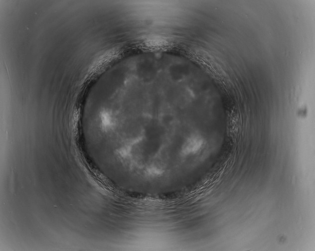 X0000098230742200805151341