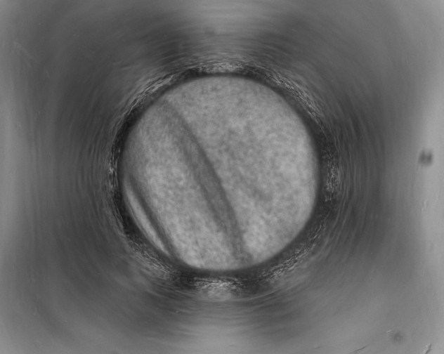 X0000098230743200805151341