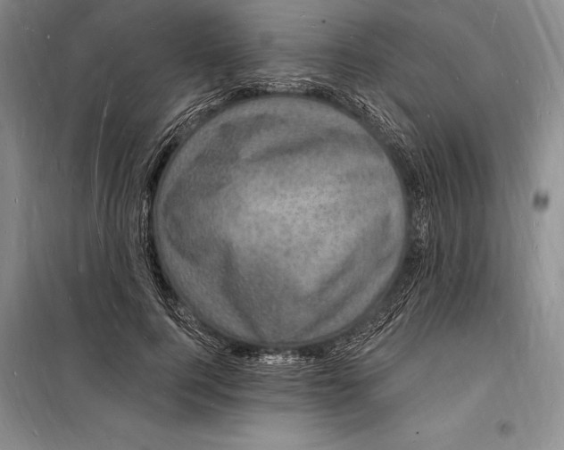 X0000098230744200805151341