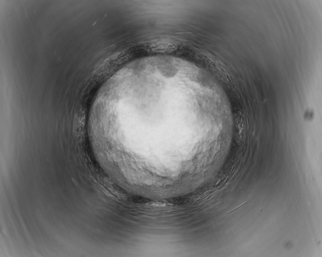 X0000098230745200805151341