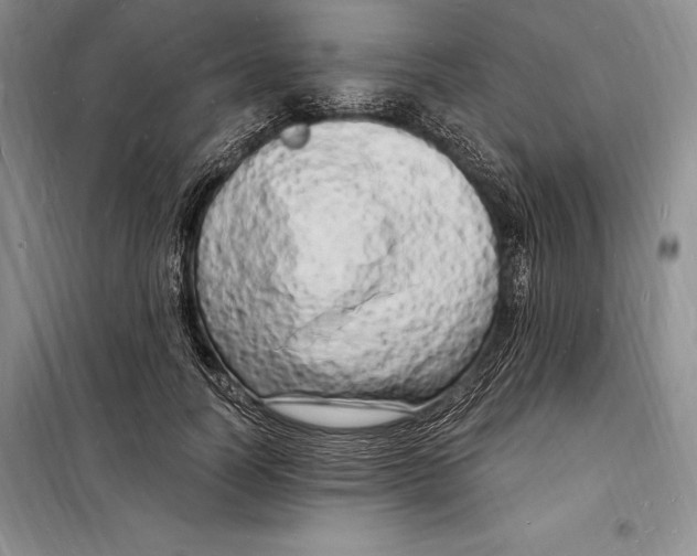 X0000098230746200805151341