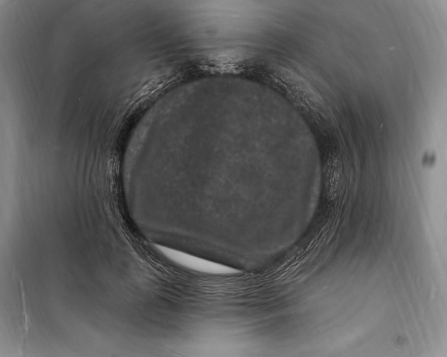 X0000098230747200805151341