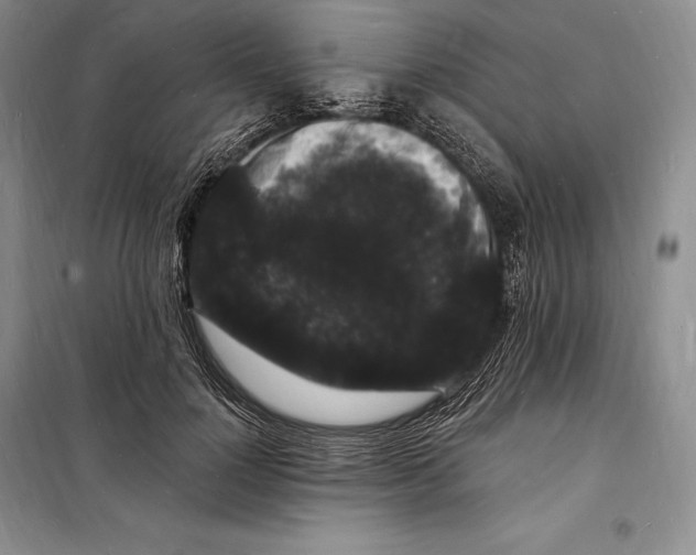 X0000098230748200805151341