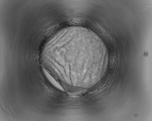 X0000098230749200805151341