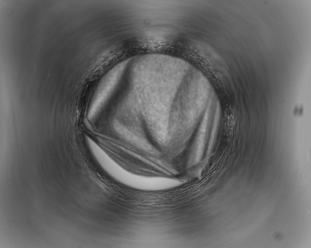 X0000098230750200805151341