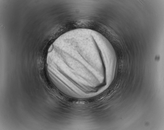 X0000098230751200805151341