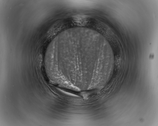 X0000098230752200805151341