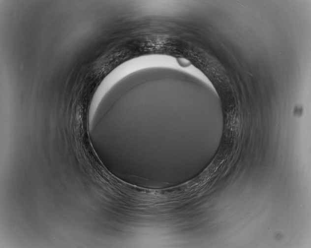 X0000098230754200805151341