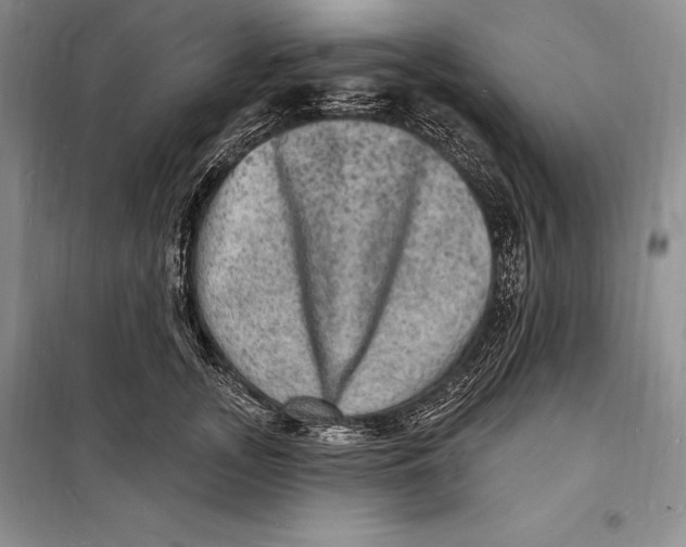 X0000098230755200805151341