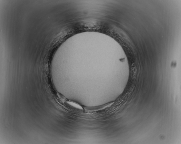 X0000098230756200805151341