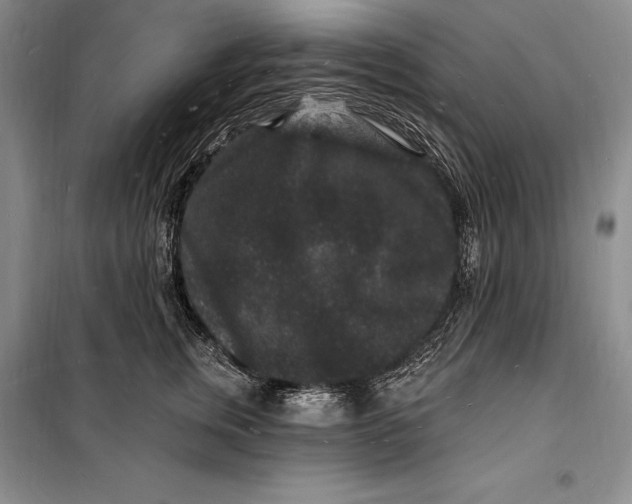 X0000098230759200805151341