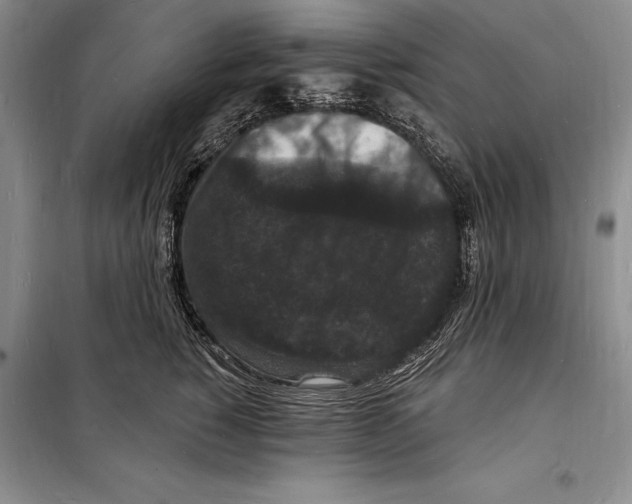 X0000098230760200805151341