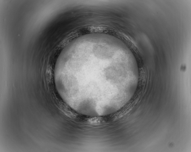 X0000098230761200805151341