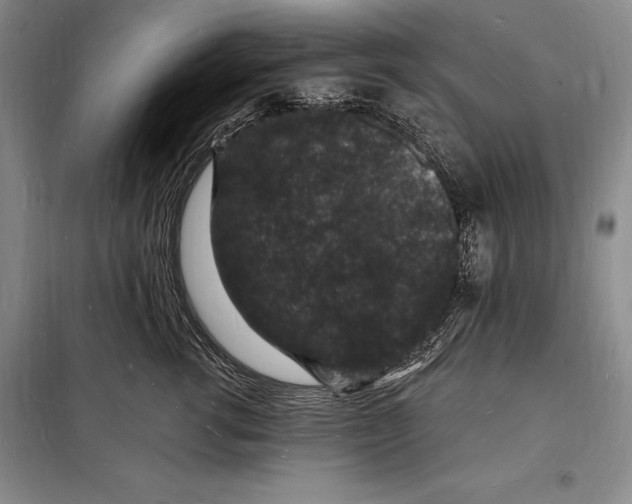 X0000098230762200805151341