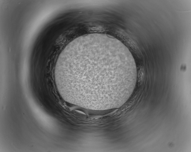 X0000098230764200805151341