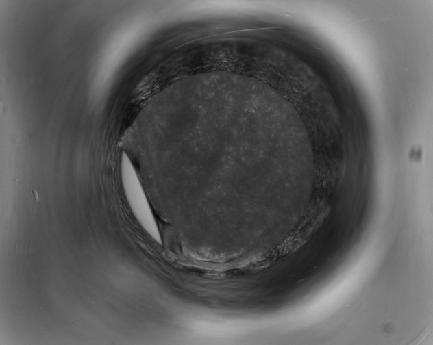 X0000098230766200805151341