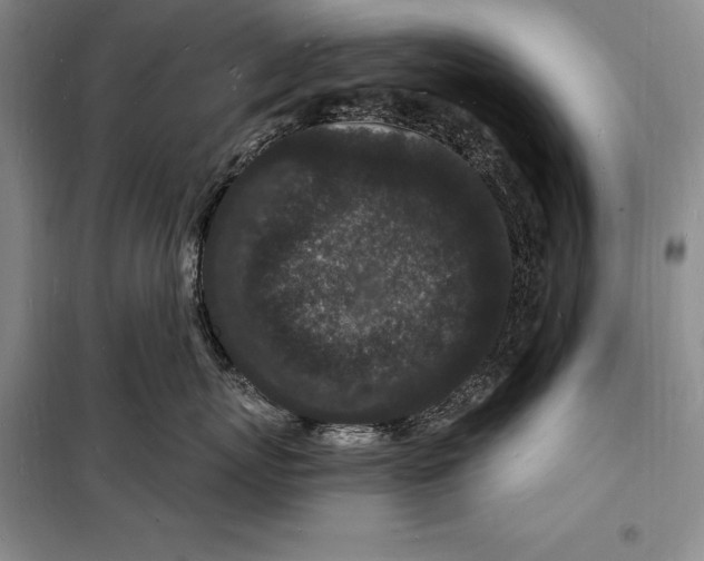 X0000098230767200805151341