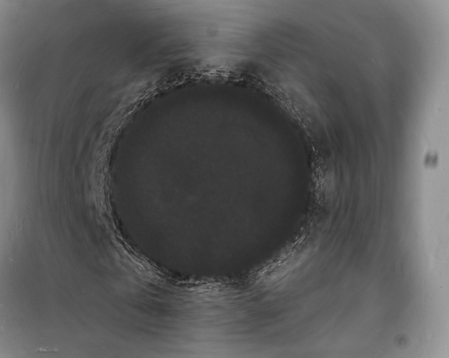 X0000098230769200805151340