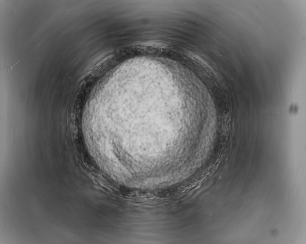 X0000098230774200805151340