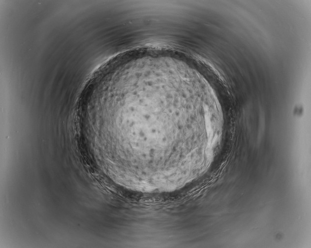 X0000098230776200805151340