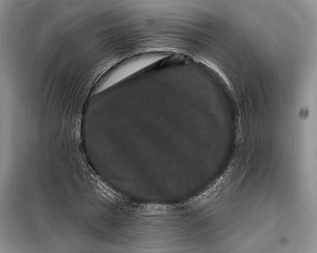 X0000098230777200805151340