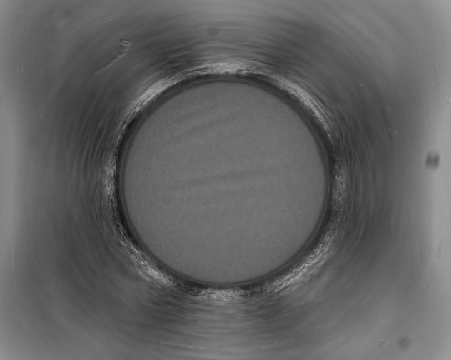 X0000098230778200805151340