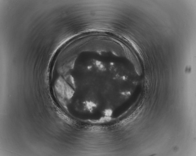 X0000098230779200805151340