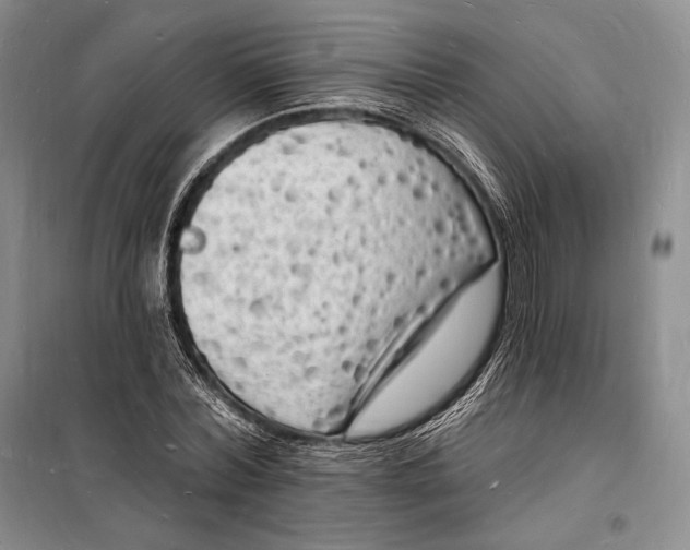 X0000098230780200805151340