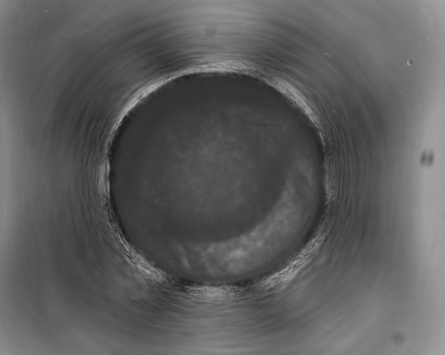 X0000098230781200805151340