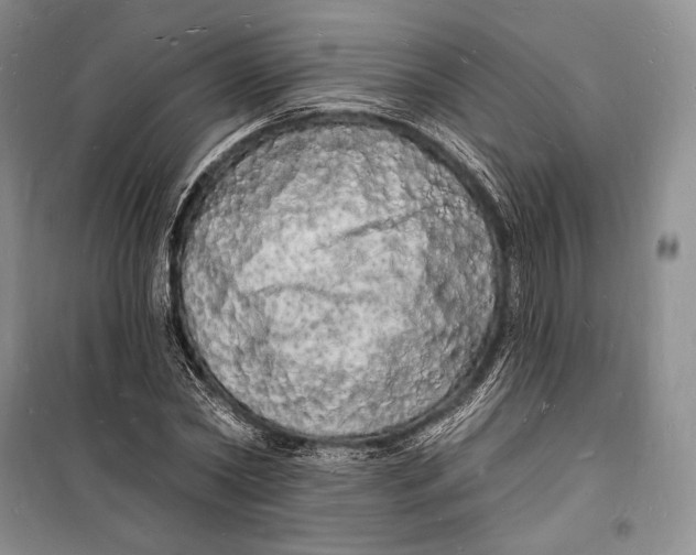 X0000098230782200805151340