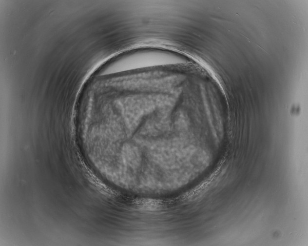 X0000098230783200805151340