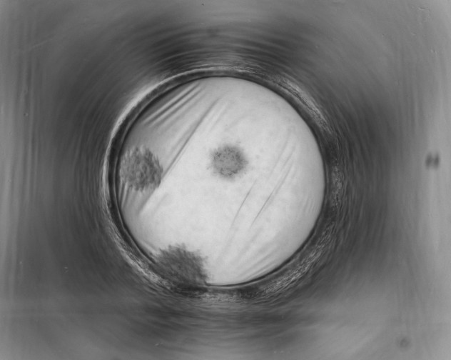 X0000098230788200805151340