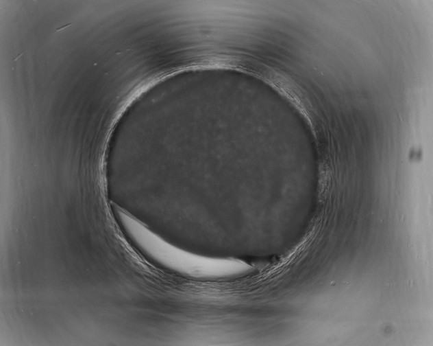 X0000098230789200805151340