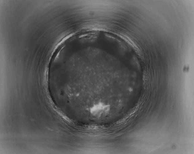 X0000098230790200805151340